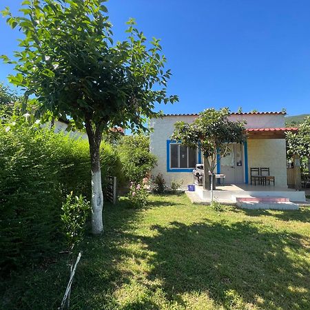 Elbasan Backpacker Hostel Bagian luar foto