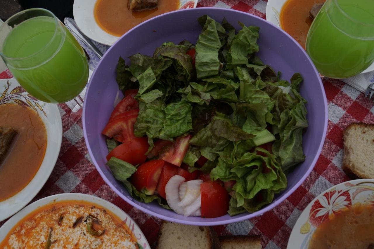 Elbasan Backpacker Hostel Bagian luar foto