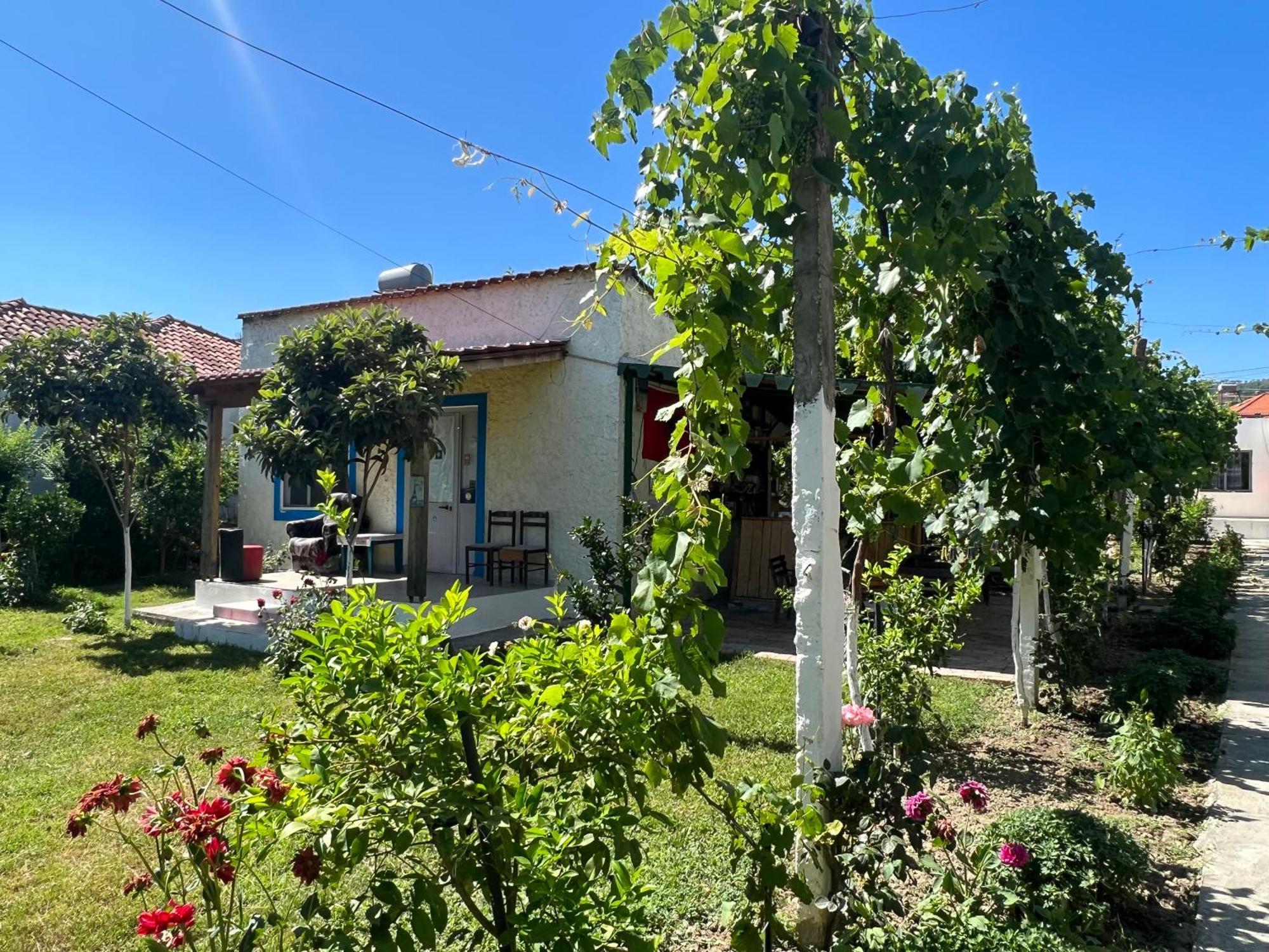 Elbasan Backpacker Hostel Bagian luar foto